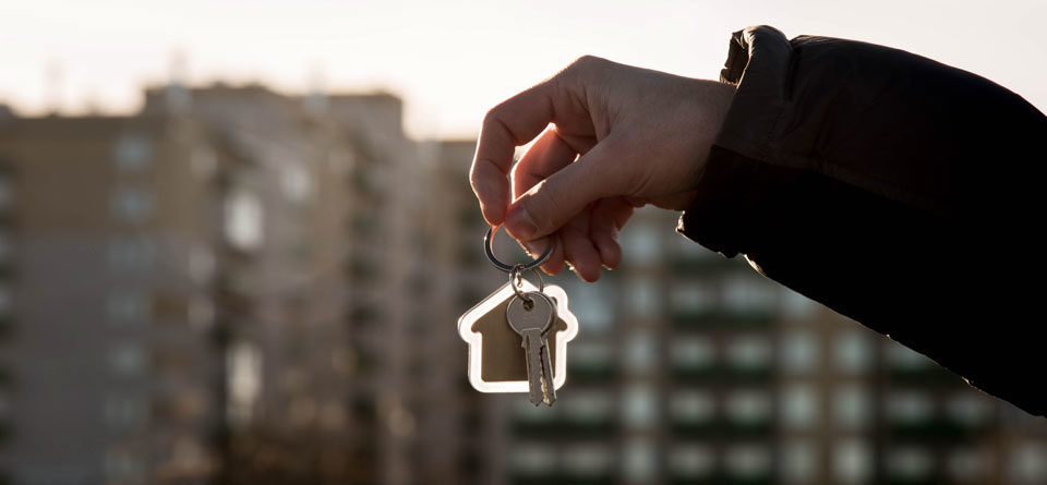 Proyectos inmobiliarios